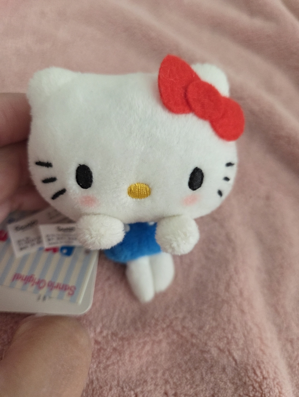Hello kitty Sanrio Computer Toy Plush Pyoconoru